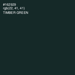 #162929 - Timber Green Color Image